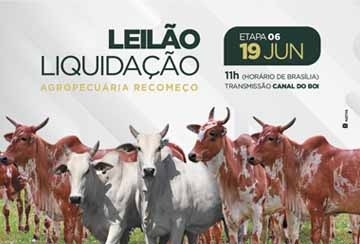 LEILÃO LIQUIDAÇÃO AGROPECUÁRIA RECOMEÇO - ETAPA 06